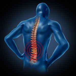 spinal cord injury annapolis